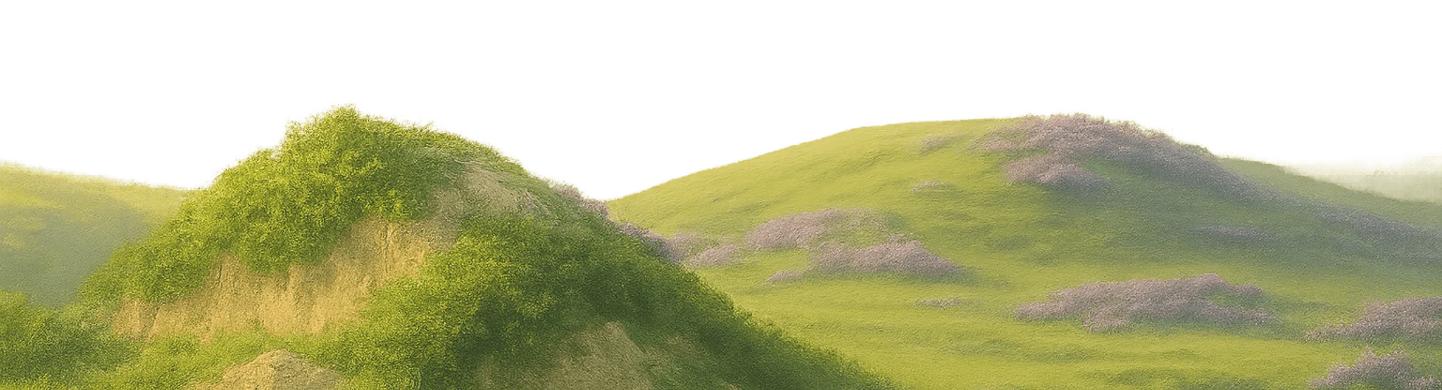 Footer Landscape